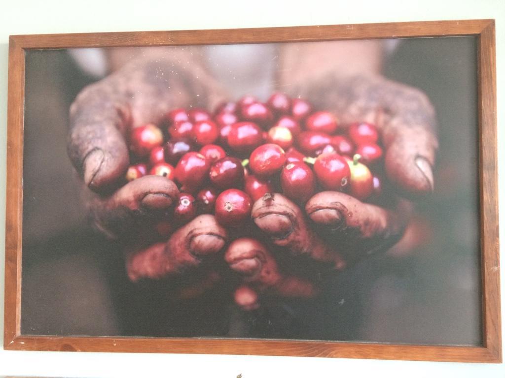 Coffea Garden Cafe & Stay ملقا المظهر الخارجي الصورة